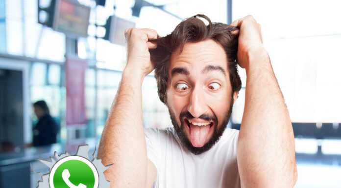 Cansado de atender tus pedidos por whatsapp